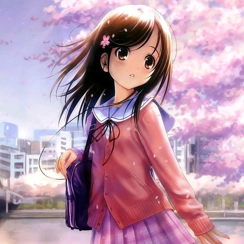  narcissu水仙花