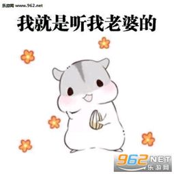 如何哄老婆开心表情包纠