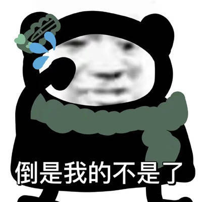  林妹妹语录阴阳怪气的趣味表情包