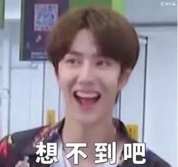 fine表情包王一博