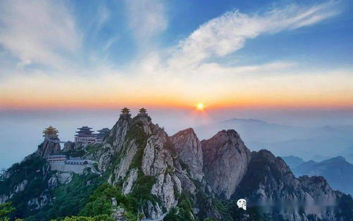  二月神都洛阳老君山仙境云海三门峡平陆天鹅湖甘山红腹锦鸡地坑院皮影戏春节民俗人文摄影