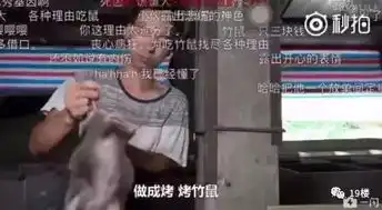  笑到泪奔竹鼠表情包窜上热搜吃它有一百种理由漂亮抑郁中暑