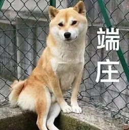  摸魏大勋屁股亲包贝尔耳垂坐靳东大腿,还有王鸥不敢撩的汉吗