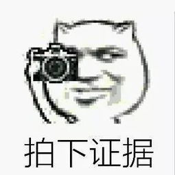  咔擦,拍下证据