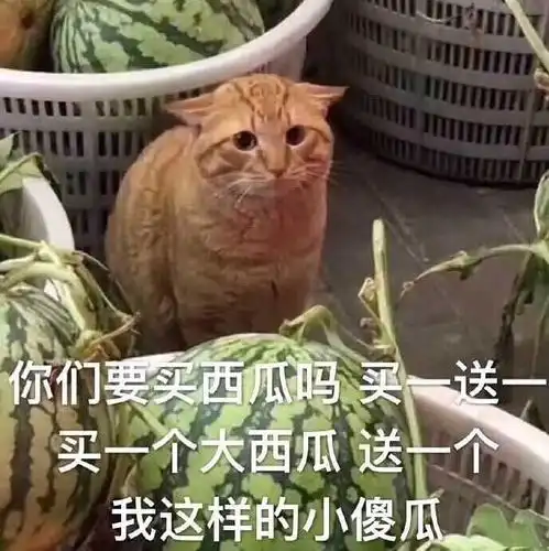  多吃水果