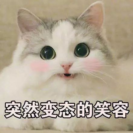  这个女人不简单,杀闺蜜抢男人