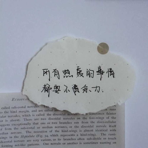  朋友圈背景图你可以什么都听,但不能什么都信