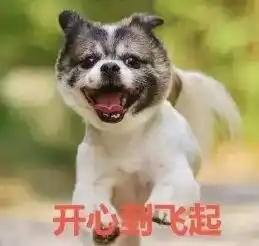 狗东西表情包吠叫