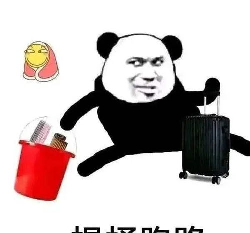 不二呆表情包全集互联网