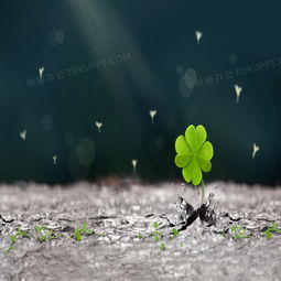  唯美四叶草背景背景图片素材免费下载jpg格式800800像素熊猫办公