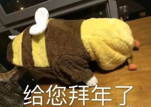  2019拜年表情包大全汇总新年祝福无水印表情包大全汇总