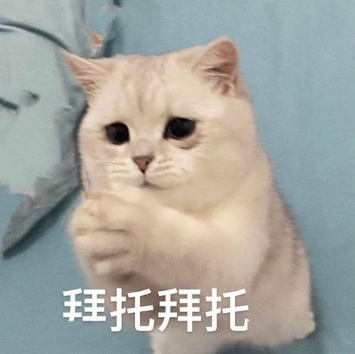  沙雕表情为什么要这样对我我还是个宝宝