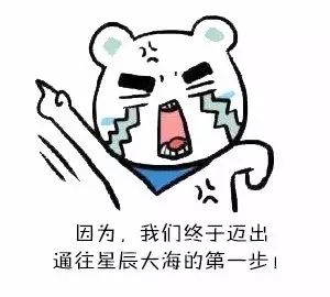  回首看看我们这一年来所走过的路