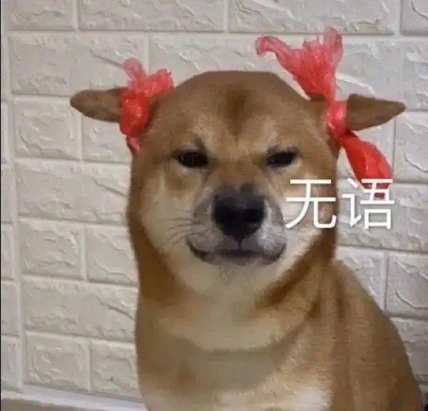  千万不要带老公去看美人鱼表演,顿时丧失生活希望了哈哈哈哈哈哈哈