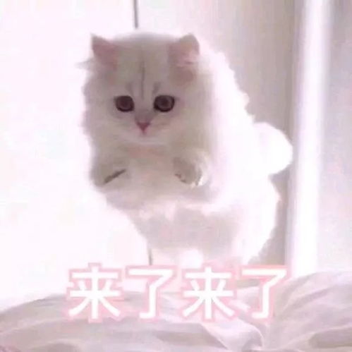  快要开学啦,你准备好了吗