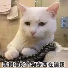  撒娇猫咪表情包给你个机会偷亲我