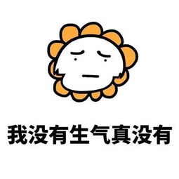  我没有生气真没有日常九大谎言表情包分享