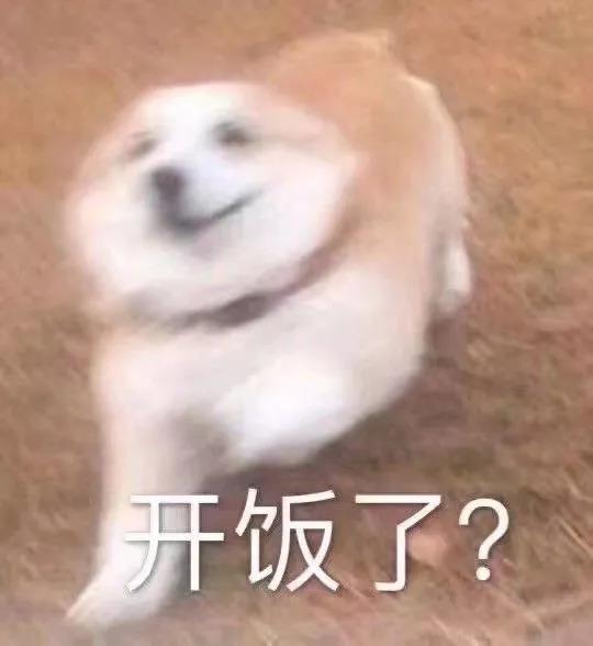  有些狗狗养着养着,就不想要了
