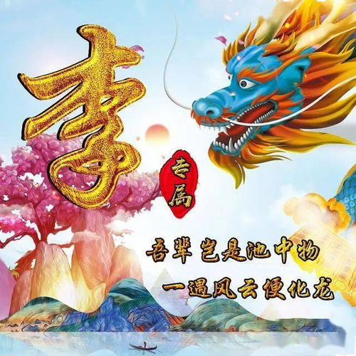  微信头像3d效果百家姓,霸气中国龙,浓浓山水风
