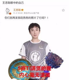 王思聪的表情包仁川广域