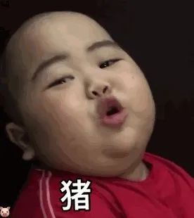 胖子无辜无奈的表情