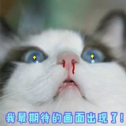 怂表情包熊猫猫咪