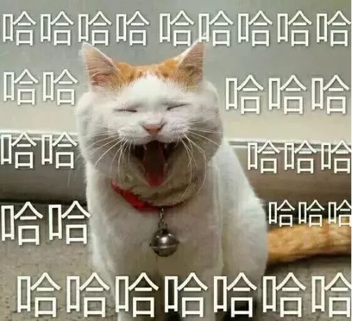  哈哈哈哈哈2018年度全国最具喜感新闻盘点,笑出腹肌