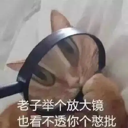  憨批表情包就算你是个憨b我也喜欢你