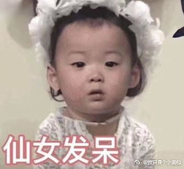  程潇hold住铁刘海范丞丞头顶一片绿,这年头爱豆的头发都这么开