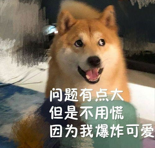  有没有跟这个图一样的小狗表情包