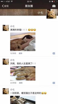  你的猫瘾有多深快来鉴定一下