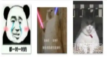  单身好单身好单身想跟谁好跟谁好qq表情包单身好搞笑表情素材v1.0免费版软件下载