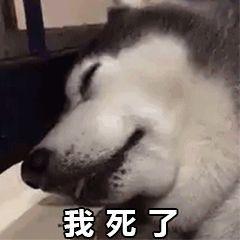 害怕逃跑表情