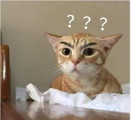 奇怪的知识猫表情包mod