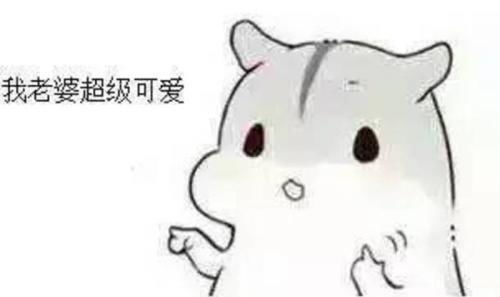  哄老婆表情包老婆大人对不起好喜欢老婆我老婆超级可爱