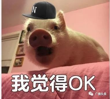 黑眼圈图片表情包搞笑小