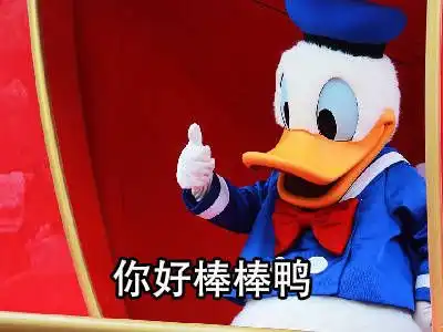  日常陪伴你们最近还好吗