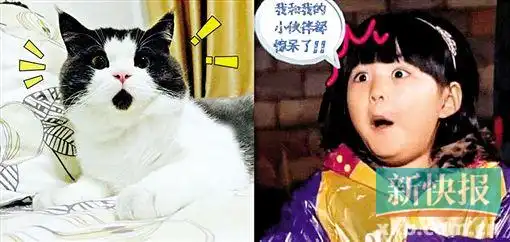嘴巴嘟嘟表情包王诗龄