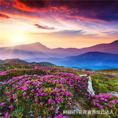 微信头像风景头像 唯美