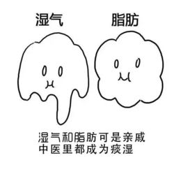  湿气是怎样形成的,一图秒懂漫画版