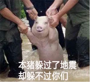  2018最新表情包大赏小猪佩奇,假笑boy,边缘试探你最爱